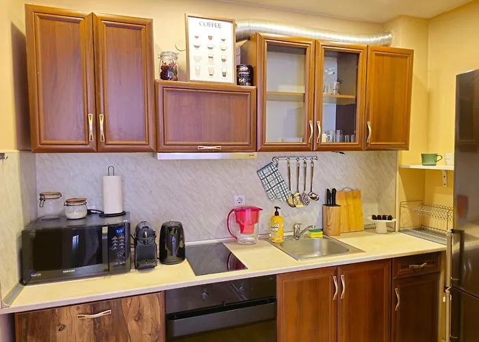 Two Big Bed & Free Underground Parking アパート